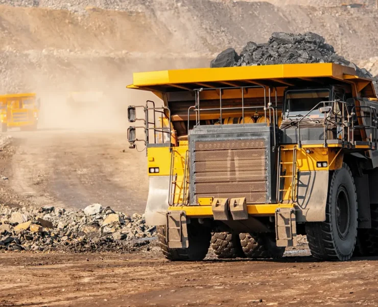 Royalty Agreements and Royalty Fee